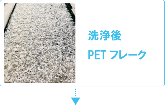 洗浄後PETフレーク